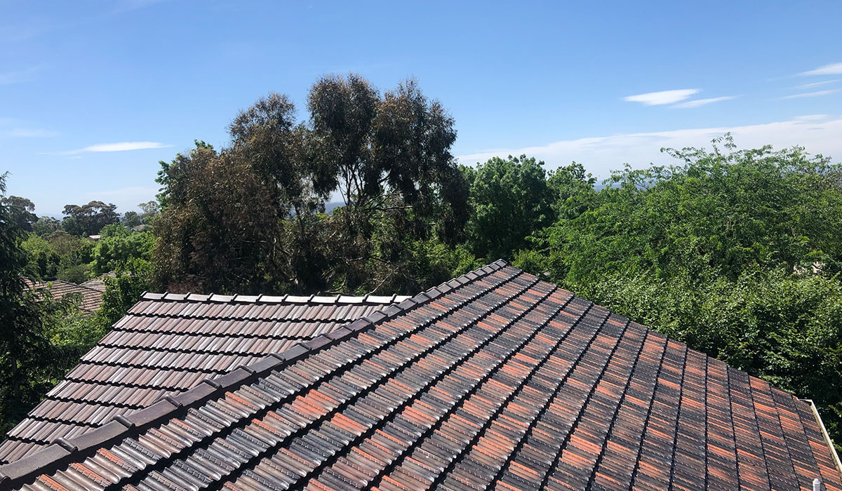 A photograph of a restored tile roof.