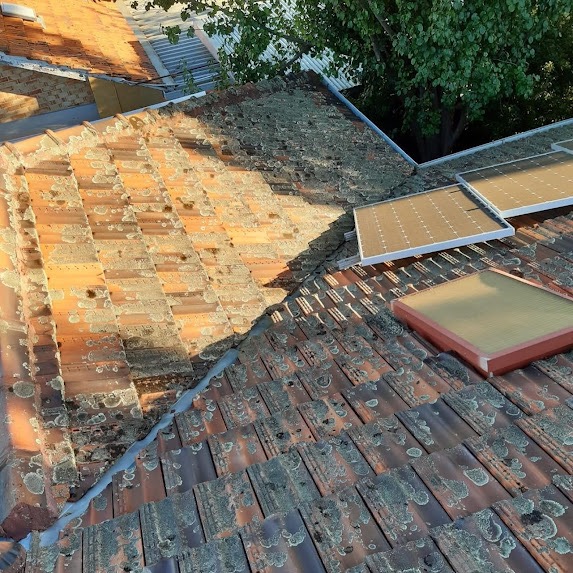 A photo of a tile roof covered in dirt, algae and dirty solar panels