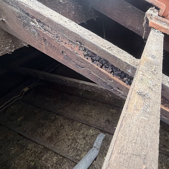 Exposed roof timbers showing deterioration discovered during roofing work